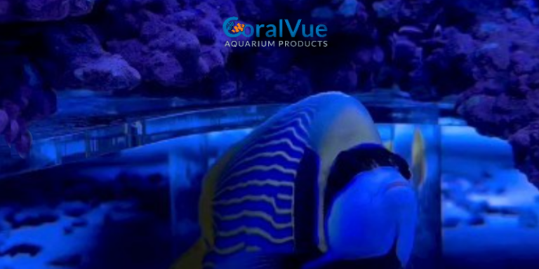 Aquarium Lighting Goes High-Tech